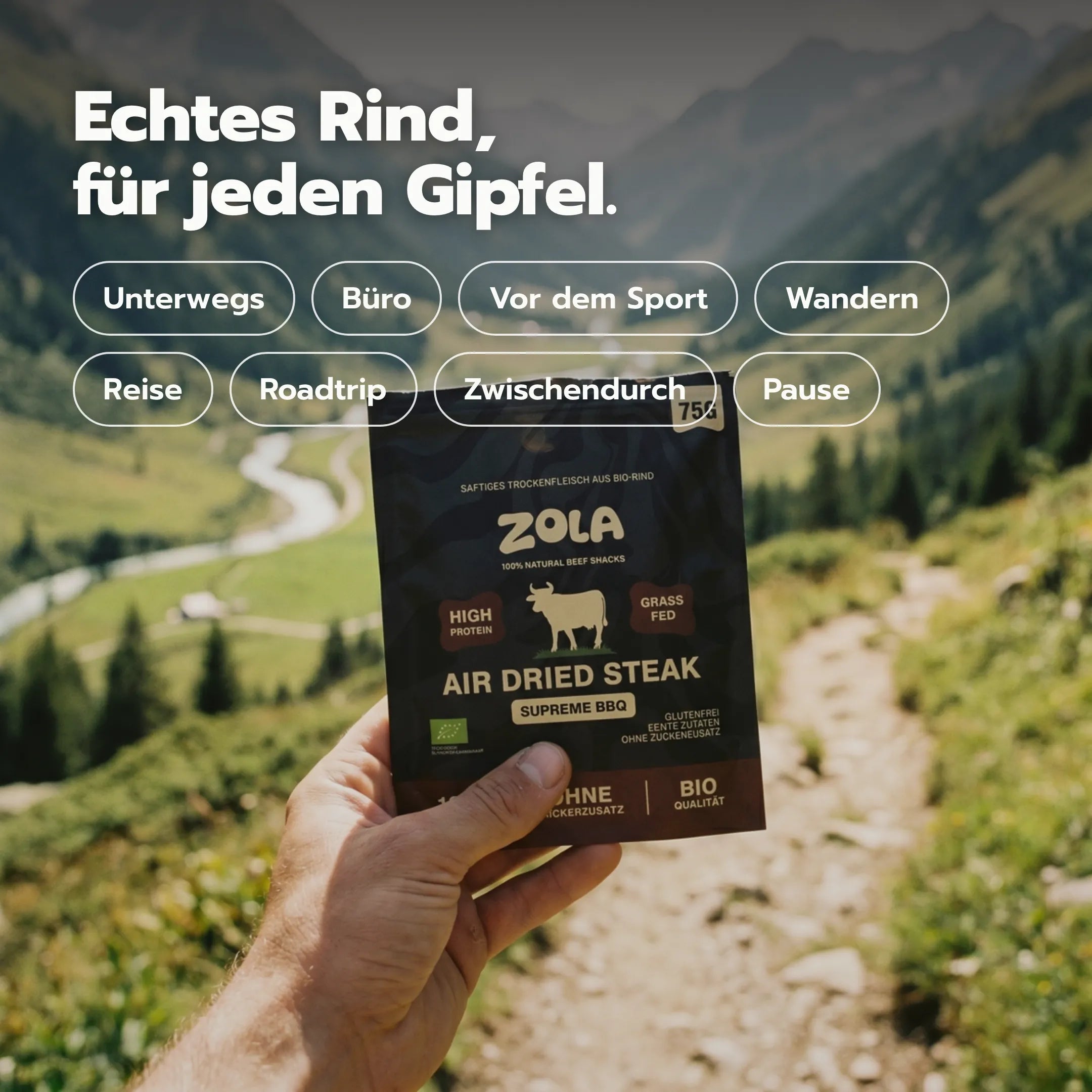ZOLA Lifestyle