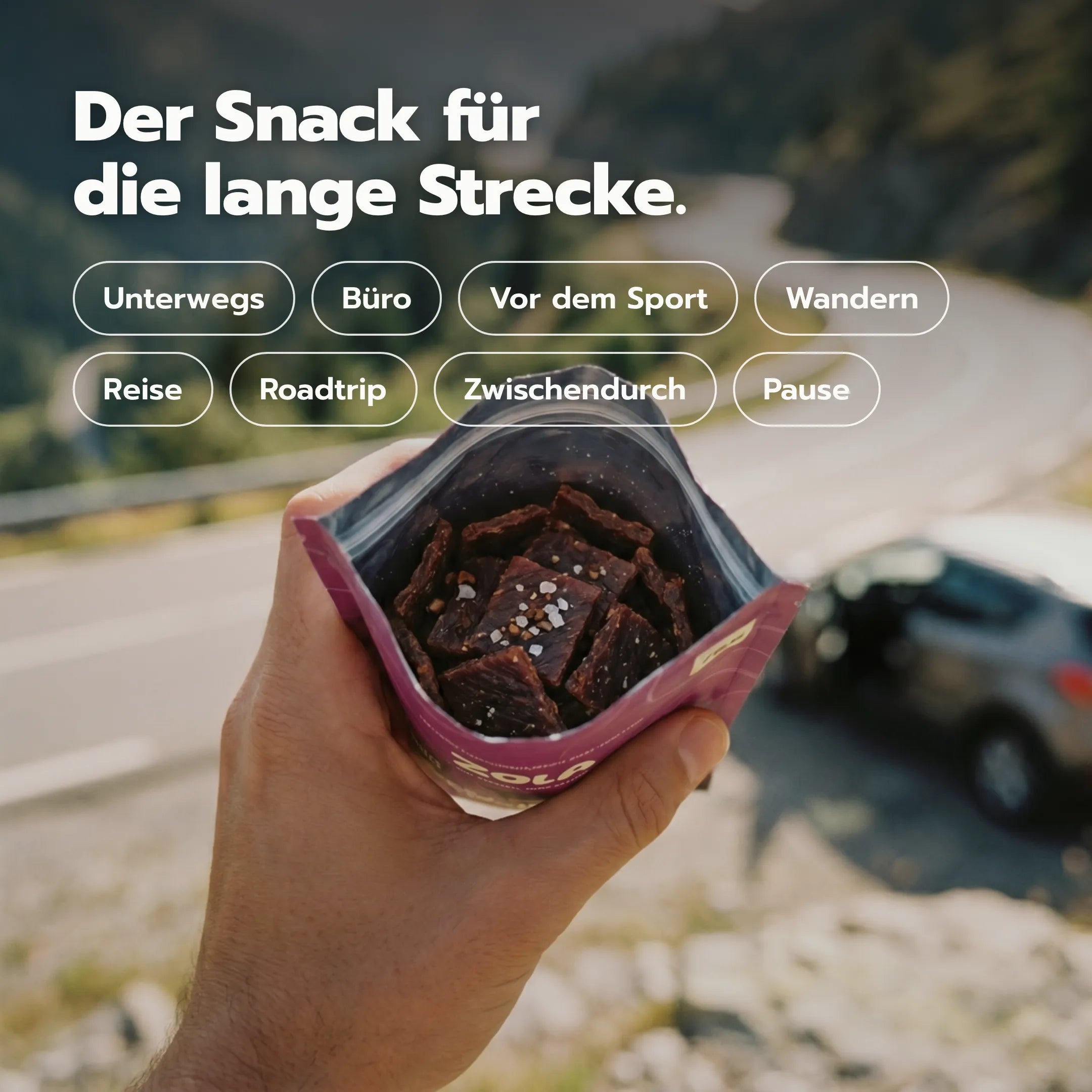 ZOLA lifestyle