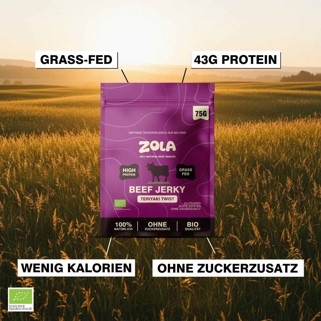 Beef Jerky Teriyaki Twist BIO