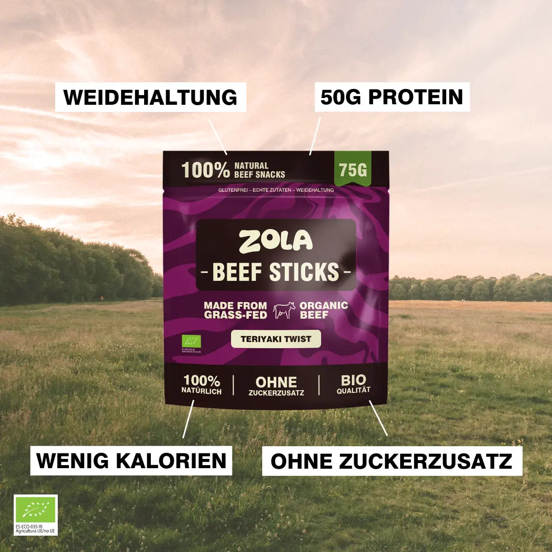 Beef Stick Teriyaki Twist BIO
